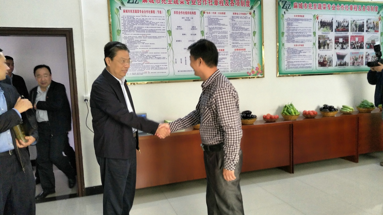 中央政治局常委、全國人大常委會委員長趙樂際來公司視察