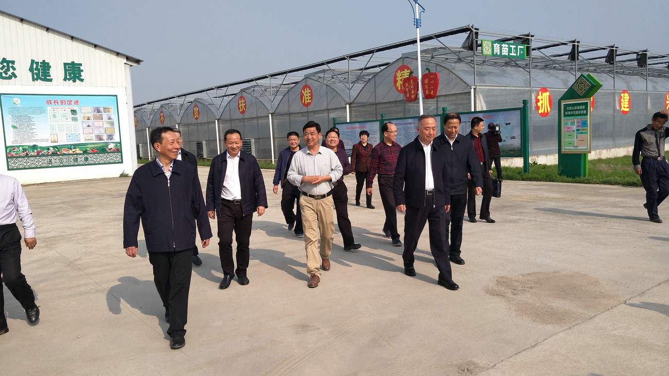 原湖北省政協主席、黨組書記徐立全來公司視察指導工作