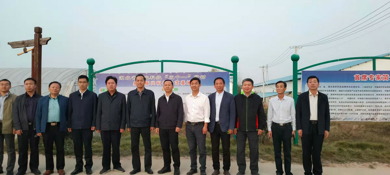 湖北省農業農村廳黨組成員、省農業科學院黨委書記劉曉洪來我公司基地調研指導工作