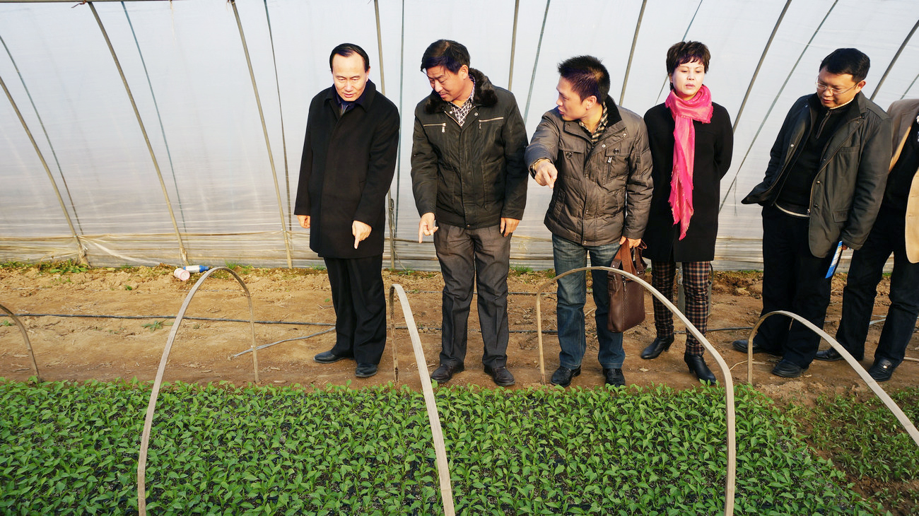 湖北省人大常委、省人大教育科學文化衛生委員會副主任委員、湖北省科學技術廳一級巡視員劉望清來公司基地視察指導工作